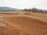 Motocross 3/2/2013 (15/17)