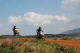 Motocross 3/31/2012 (277/610)