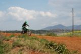 Motocross 3/31/2012 (283/610)