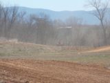 Motocross 4/6/2013 (3/26)